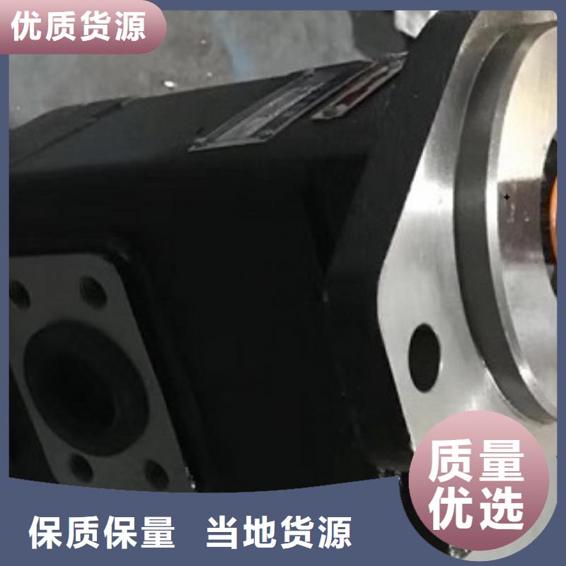 齿轮泵多年老厂家