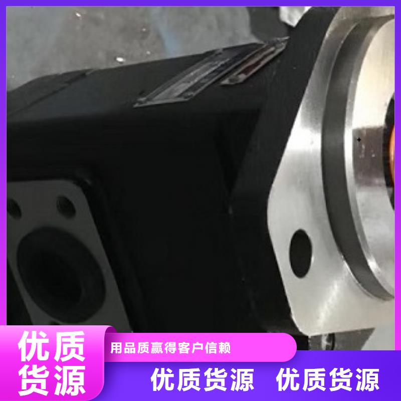 齿轮泵视频展示