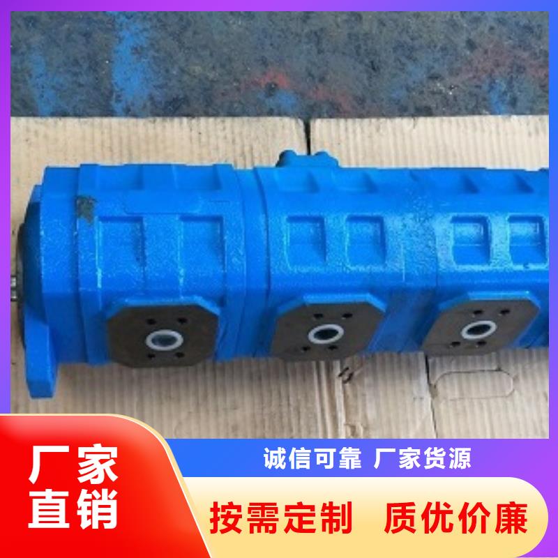 2025经验丰富#齿轮泵定制#源头厂家