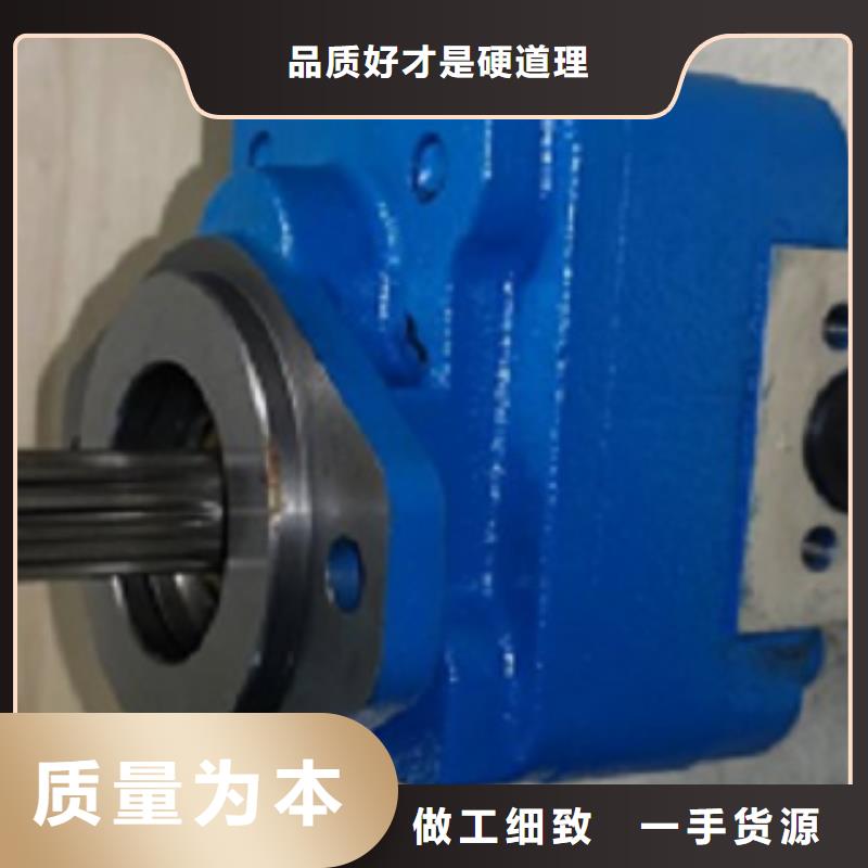 专业生产制造齿轮泵