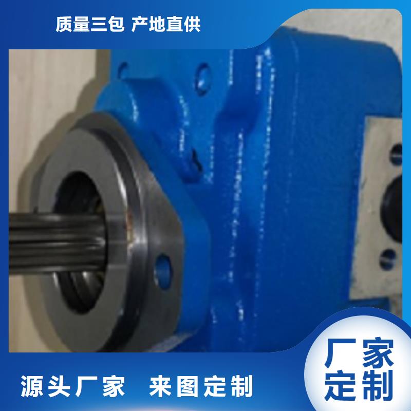 齿轮泵生产厂家欢迎订购