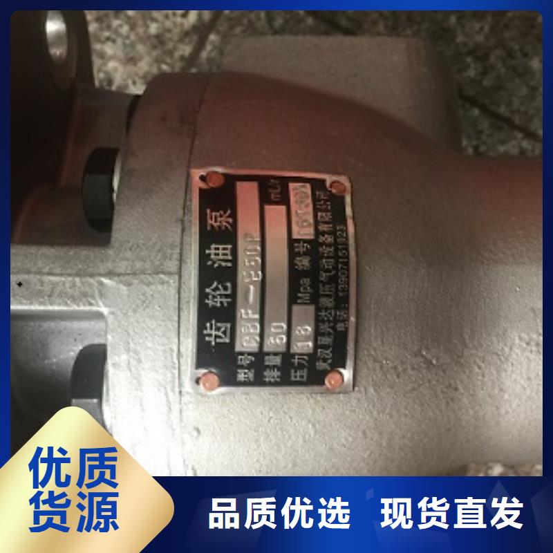 齿轮泵供应厂家