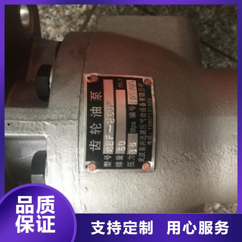 齿轮泵厂家现货直销