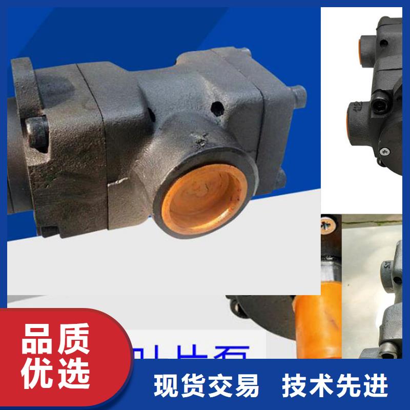 叶片泵实体厂家