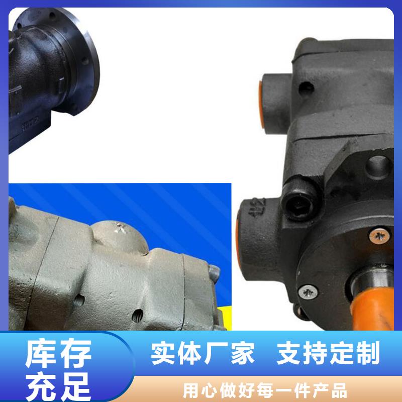 叶片泵大量现货供应