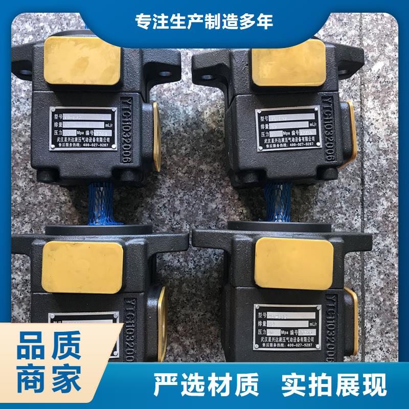 叶片泵现货批发