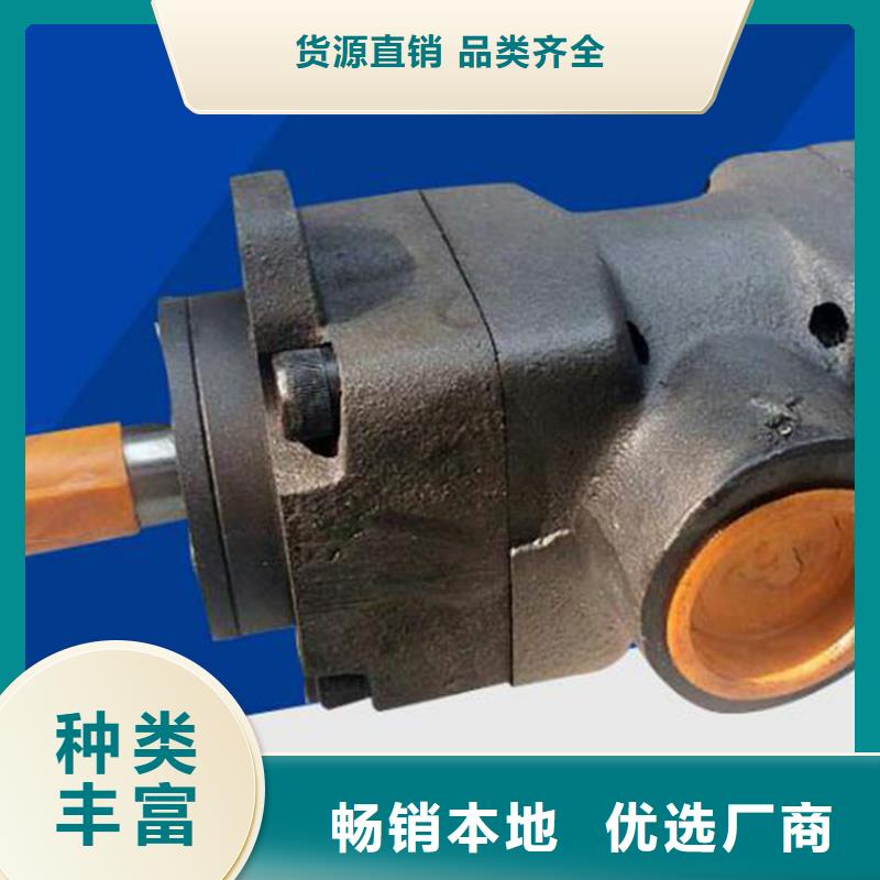 叶片泵大量现货供应
