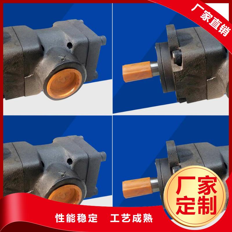发货及时的叶片泵经销商