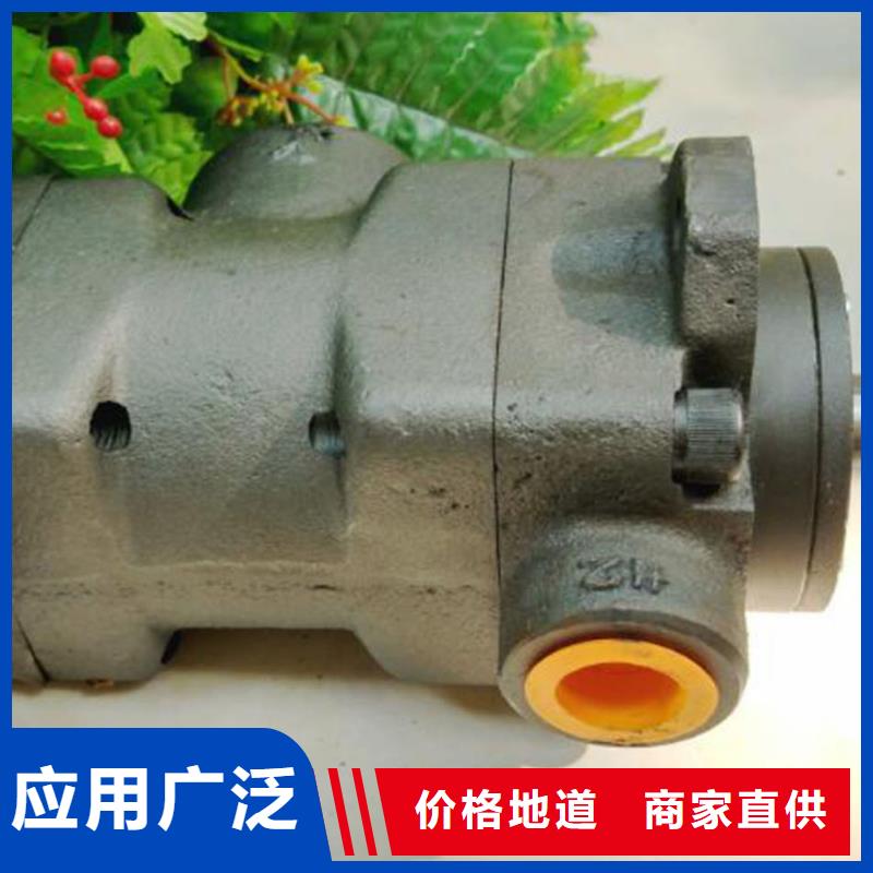 叶片泵现货充足