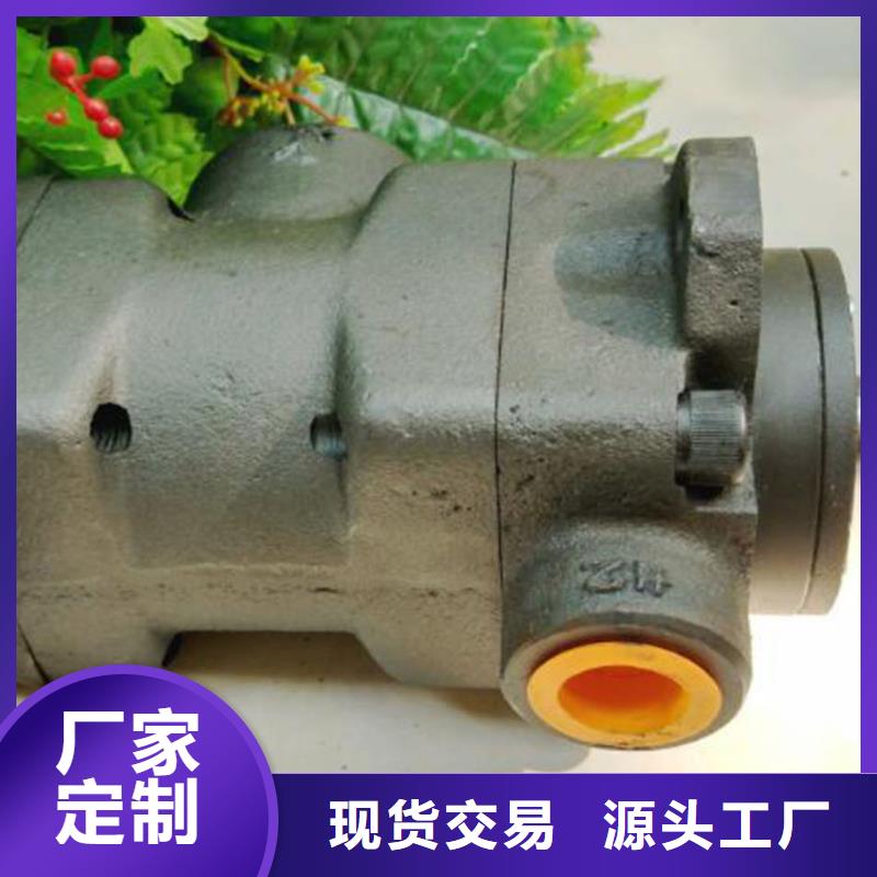 叶片泵公司-价格