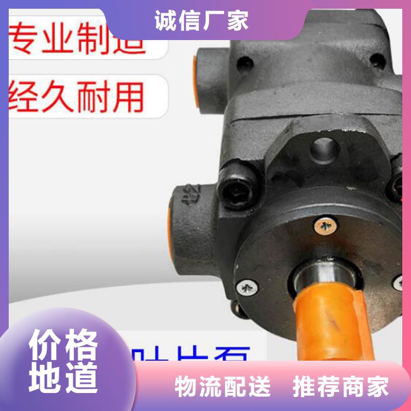 叶片泵现货批发