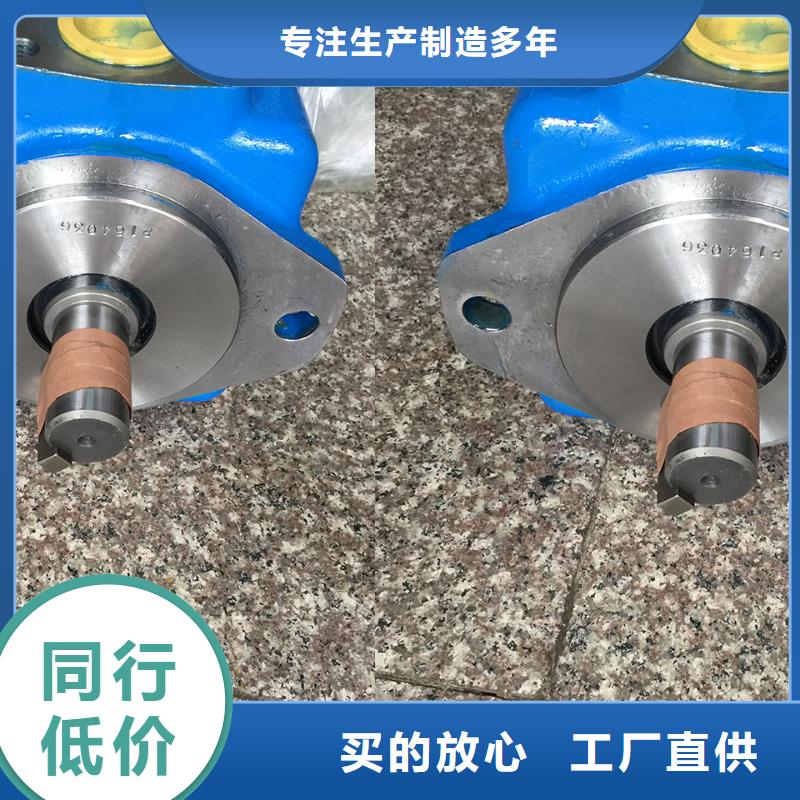 叶片泵大量现货供应