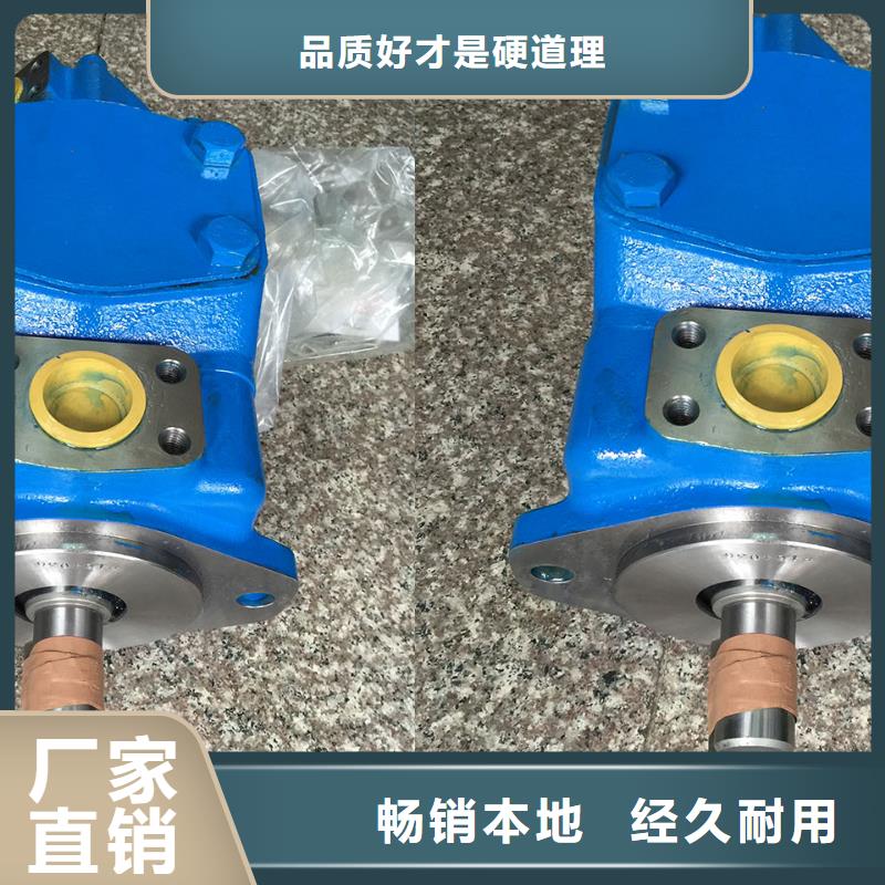 叶片泵交货及时