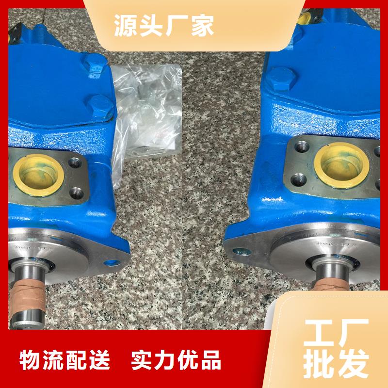 叶片泵厂家服务至上