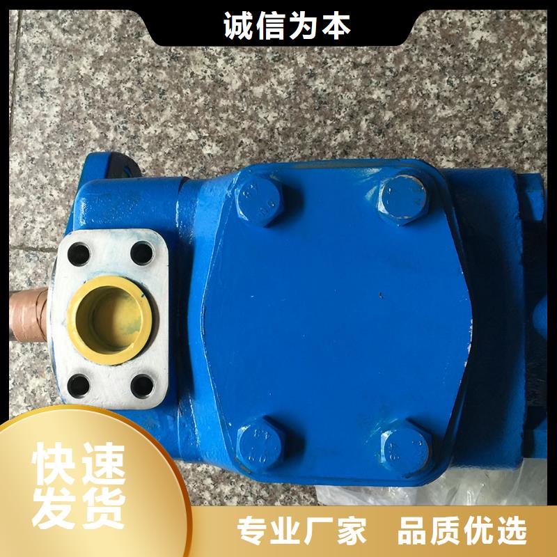 叶片泵厂家-福润德液压机械有限公司