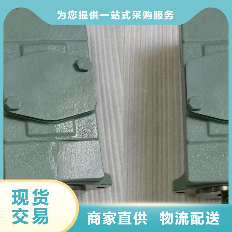 叶片泵来图定制