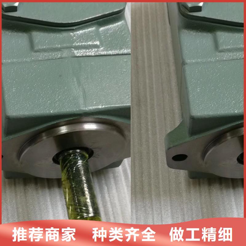 叶片泵大量现货供应