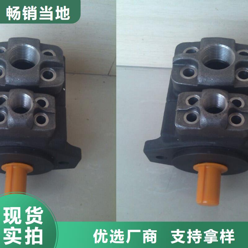 叶片泵优选商家