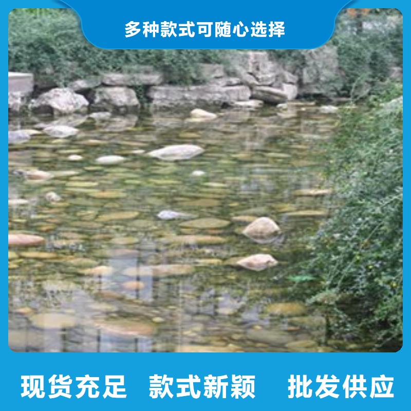 有现货的金塔雨花石供应商