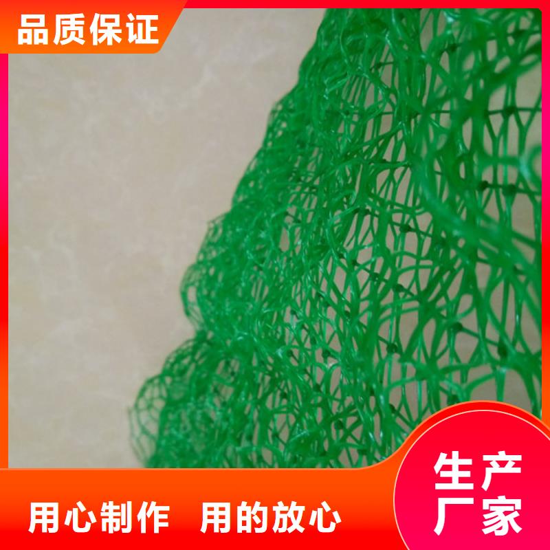 有现货的三维植被网供货商