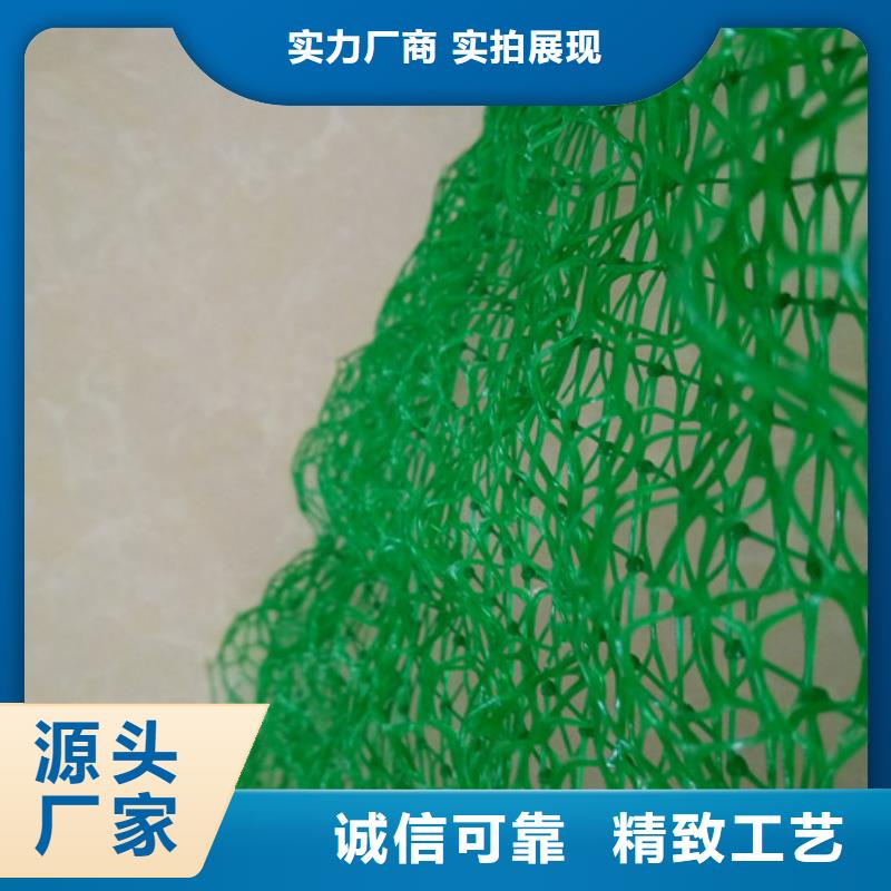 2025##三维植被网厂家##有限公司