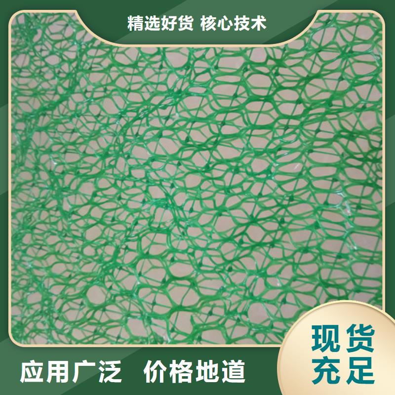 专业销售三维植被网-放心