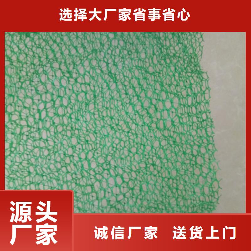 三维植被网专业销售团队