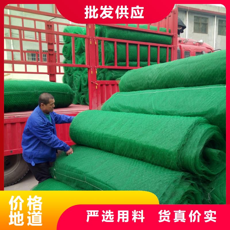 三维植被网厂家，发货快
