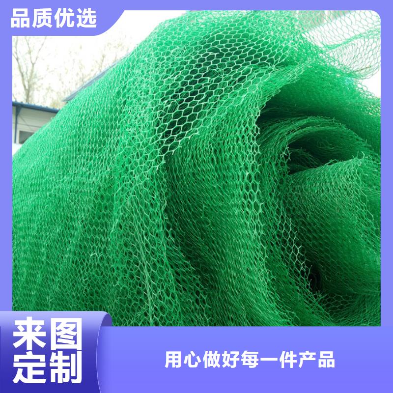 三维植被网、三维植被网厂家-价格实惠