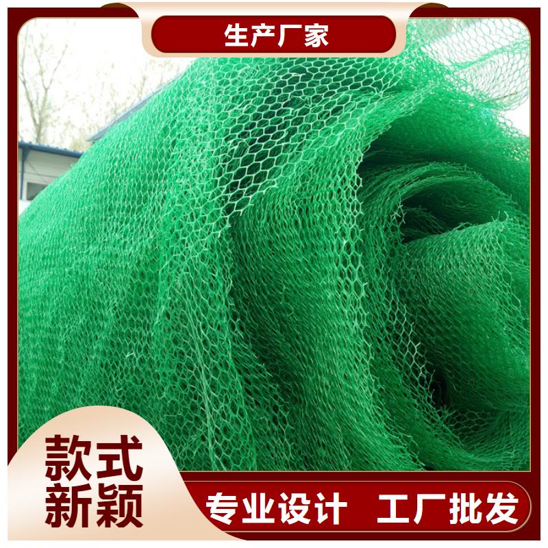 定做三维植被网的基地
