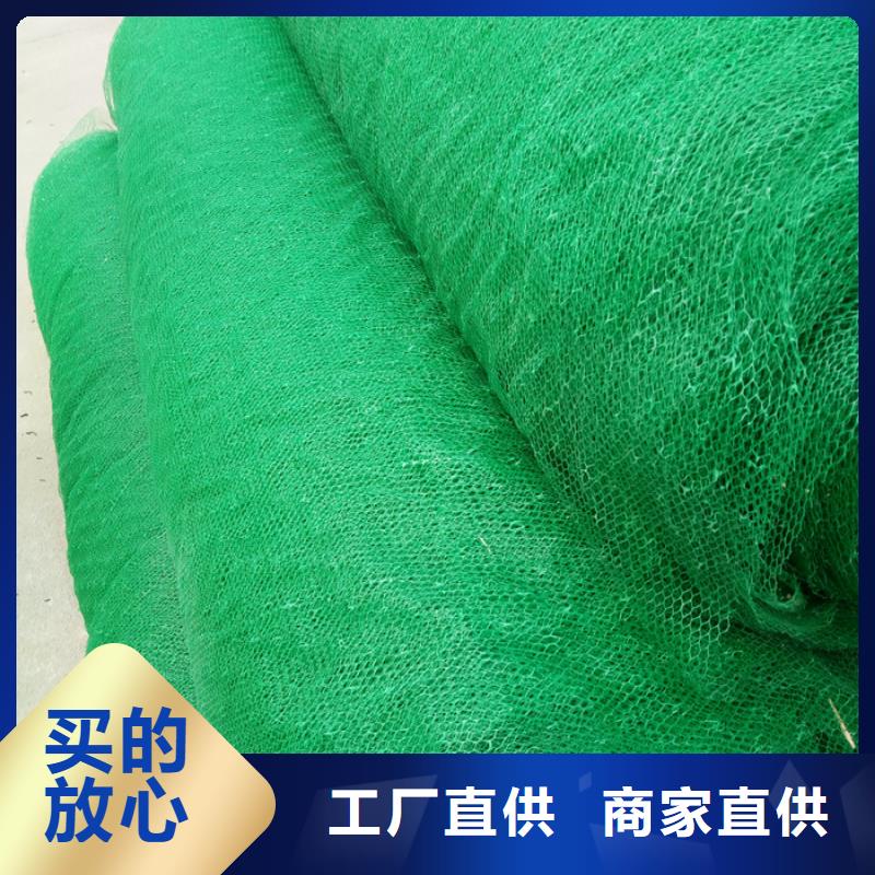 发货速度快的三维植被网供货商