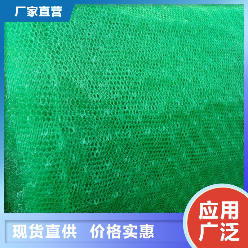 三维植被网厂家现货直销