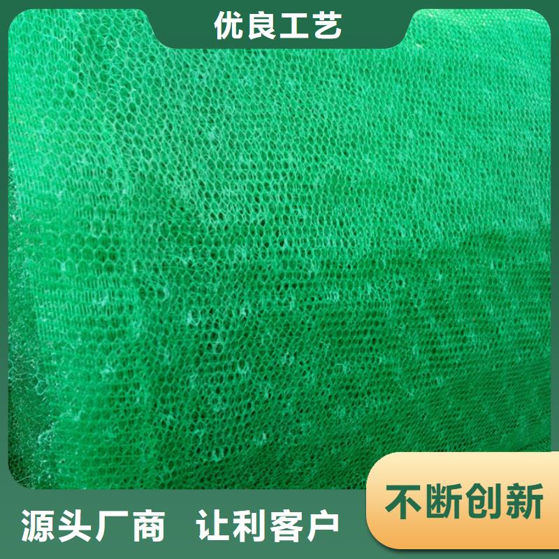 发货速度快的三维植被网经销商