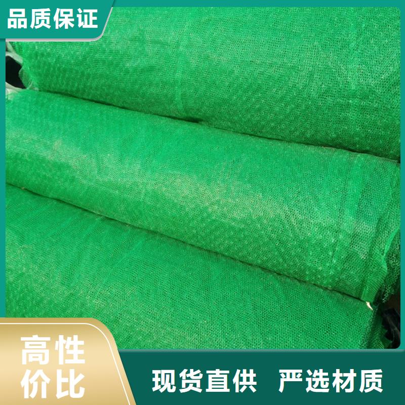 三维植被网品牌供应商