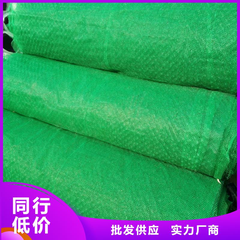 定做三维植被网的基地
