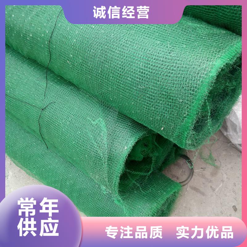 能做三维植被网的厂家