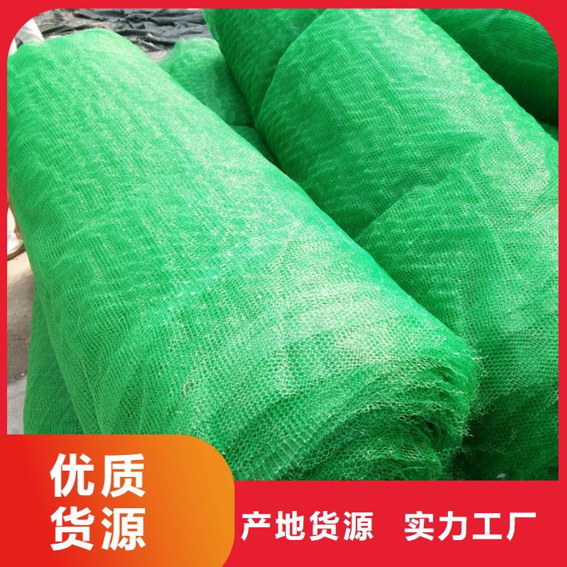 三维植被网源头厂商