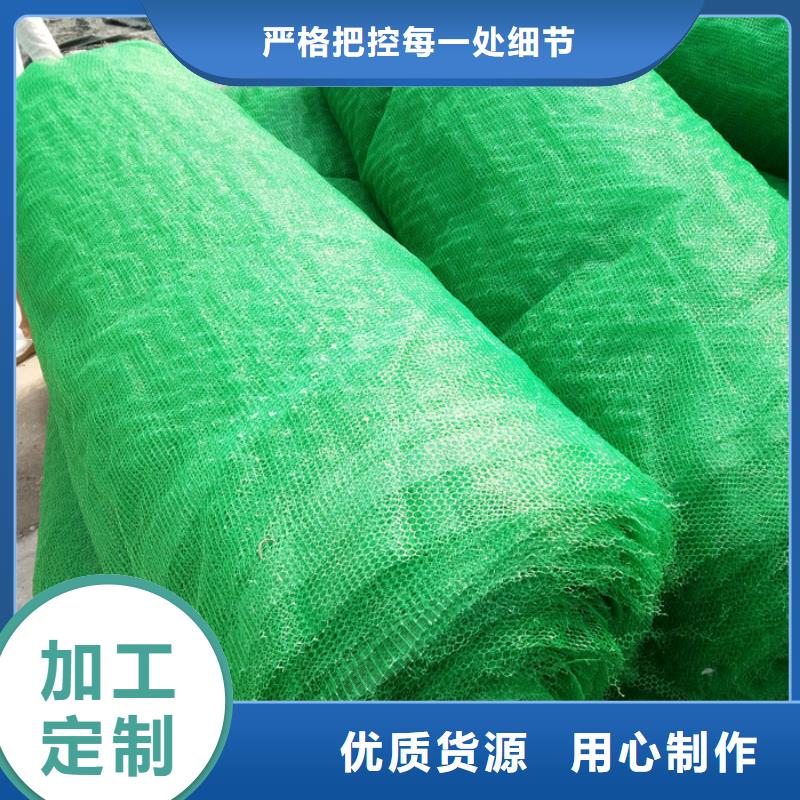 三维植被网品牌供应商