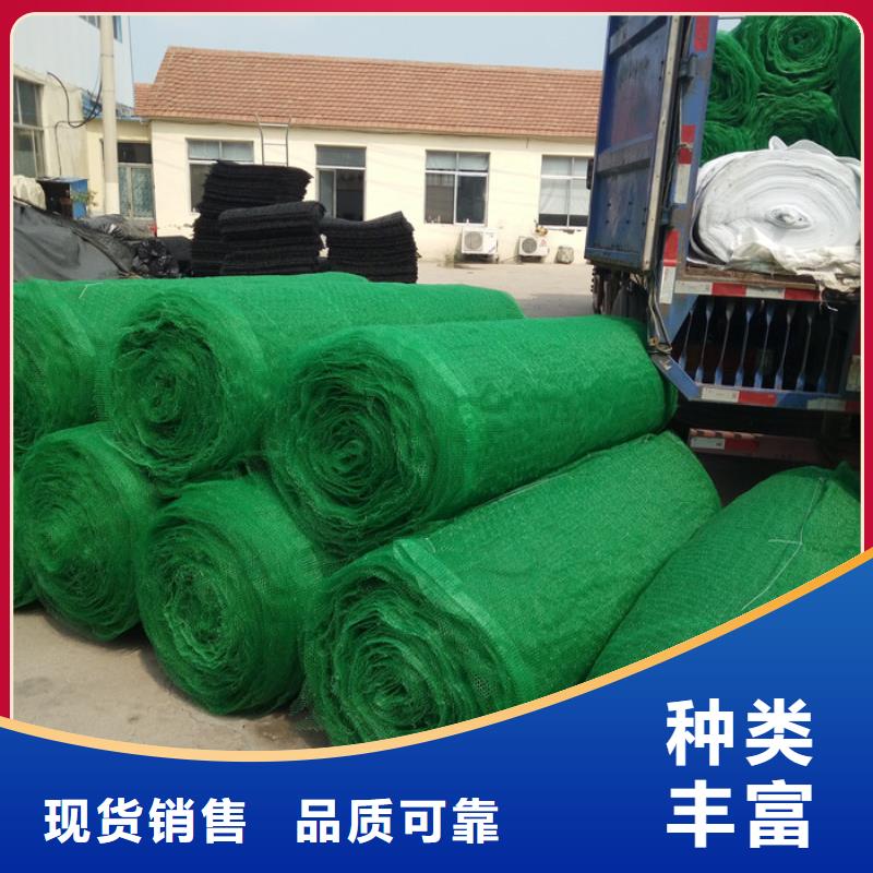 三维植被网源头好货