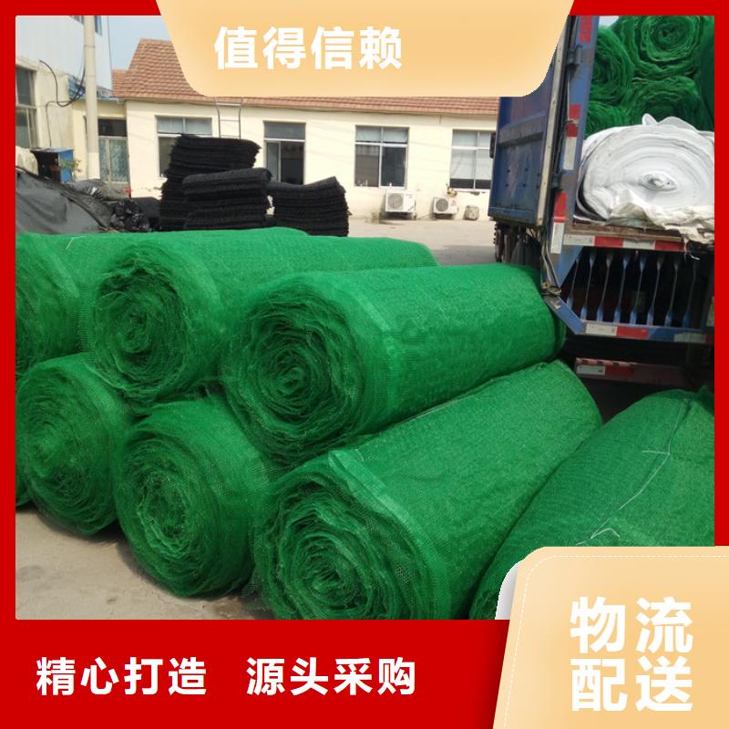 2025欢迎访问##三维植被网厂家##可定制