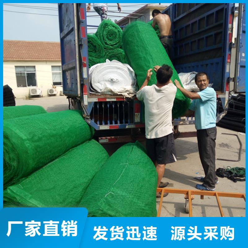 有现货的三维植被网实体厂家
