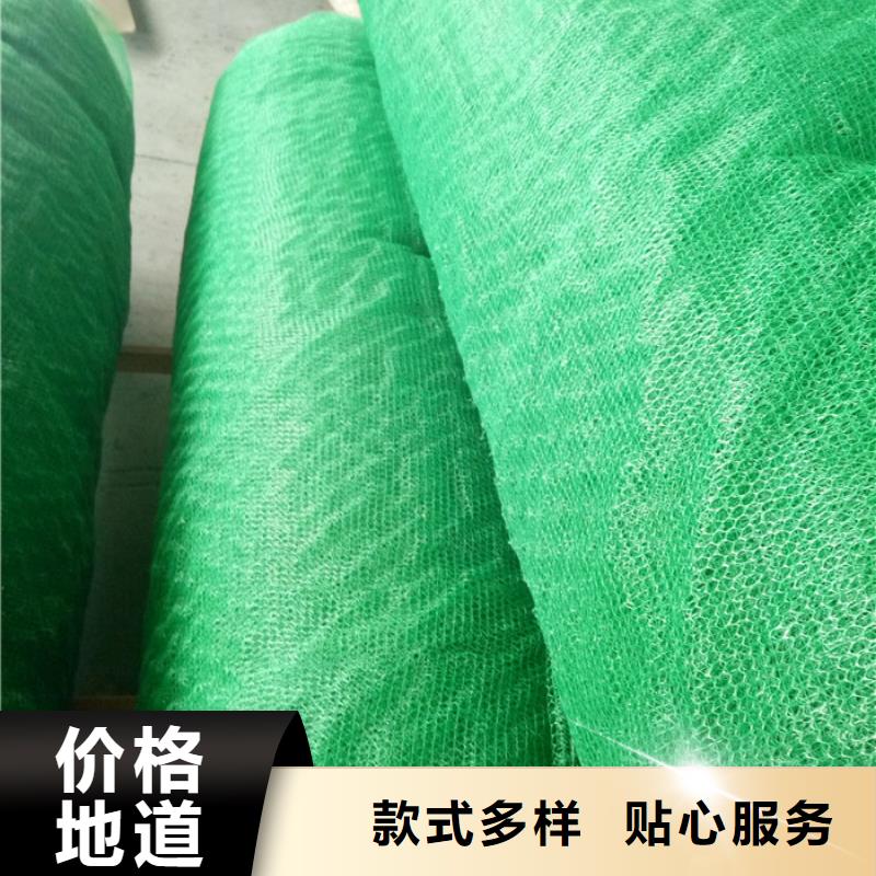 三维植被网大厂家值得信赖