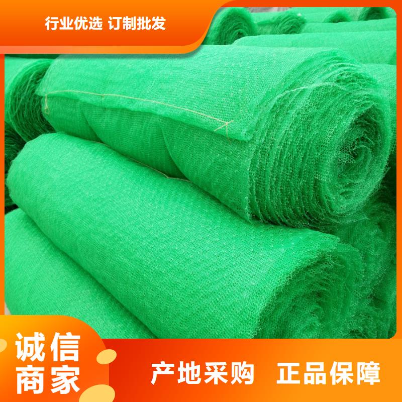 三维植被网大厂家值得信赖