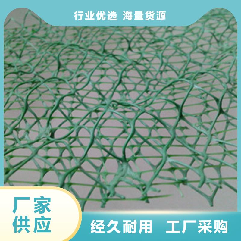 三维植被网便宜批发