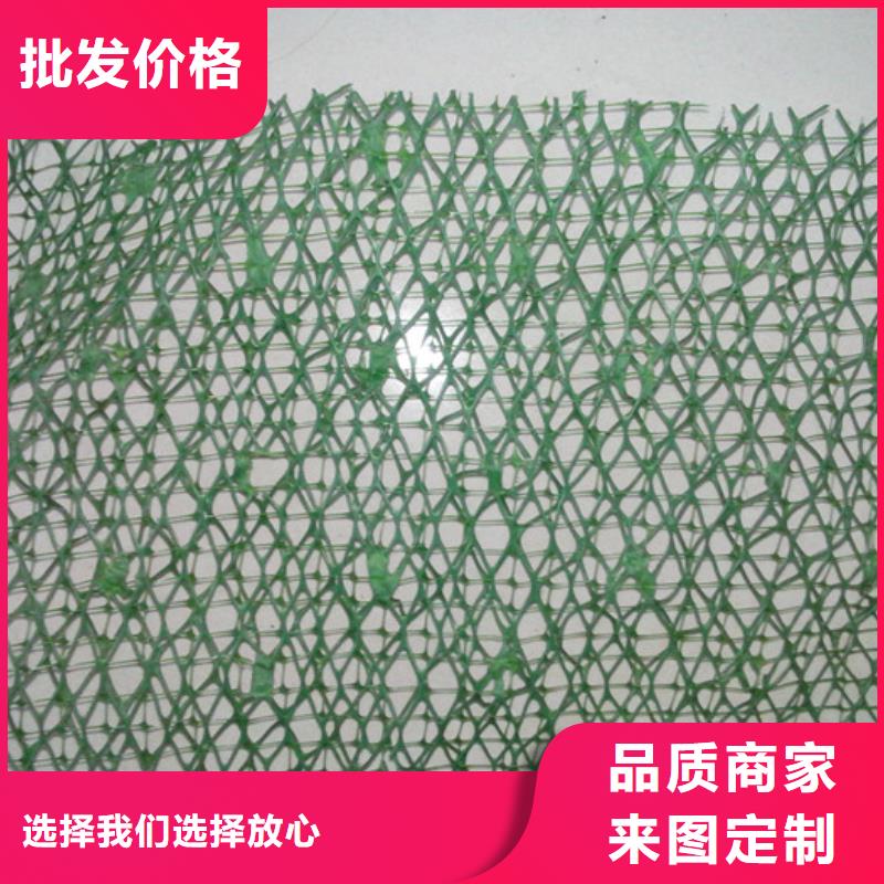有现货的三维植被网实体厂家