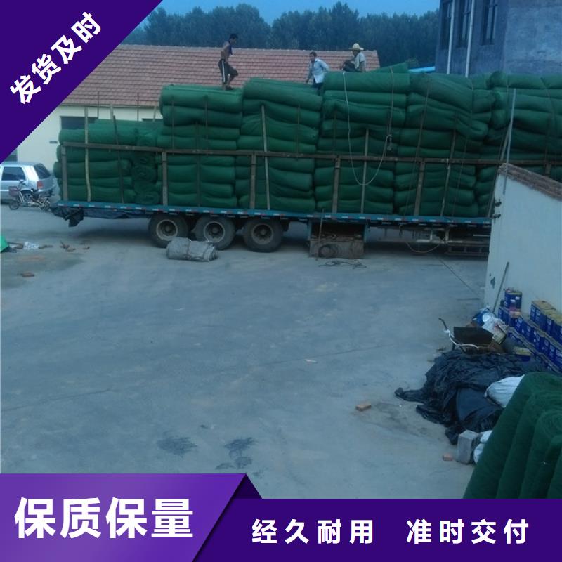 三维植被网大厂家值得信赖