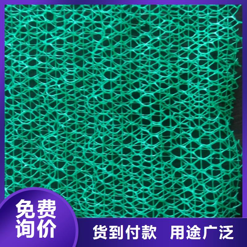 定做三维植被网的基地