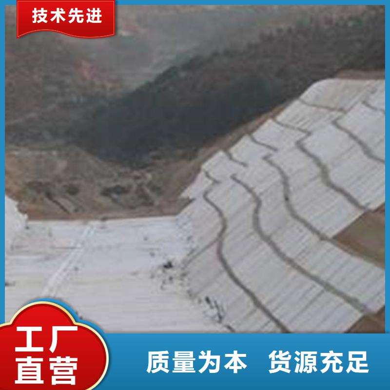 复合土工膜大量现货随时发货