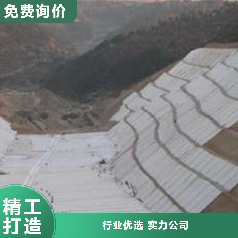 复合土工膜生产厂家有样品