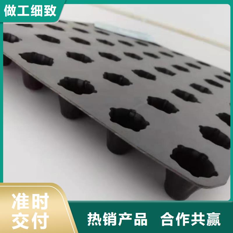 排水板、排水板生产厂家_大量现货
